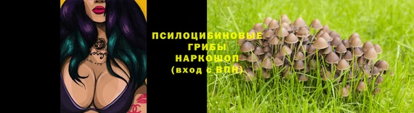 прущие грибы Кинешма