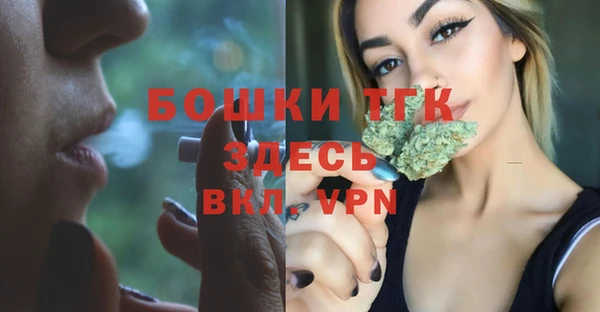 прущие грибы Кинешма