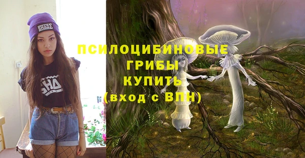 ECSTASY Киреевск