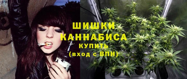 прущие грибы Кинешма