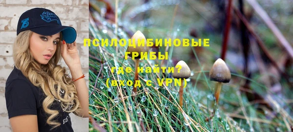 прущие грибы Кинешма