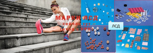 прущие грибы Кинешма