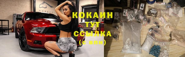 прущие грибы Кинешма