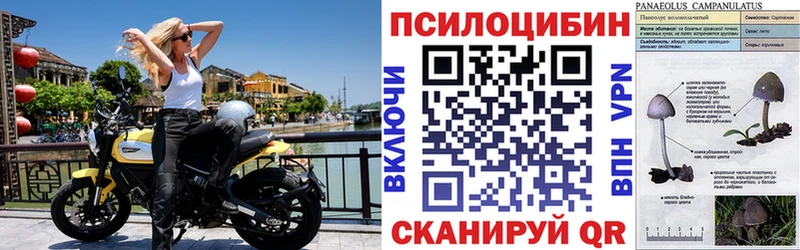 Купить где  Альметьевск  Галлюциногенные грибы мицелий 
